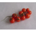 BIO cherry rajčata 250g Česko